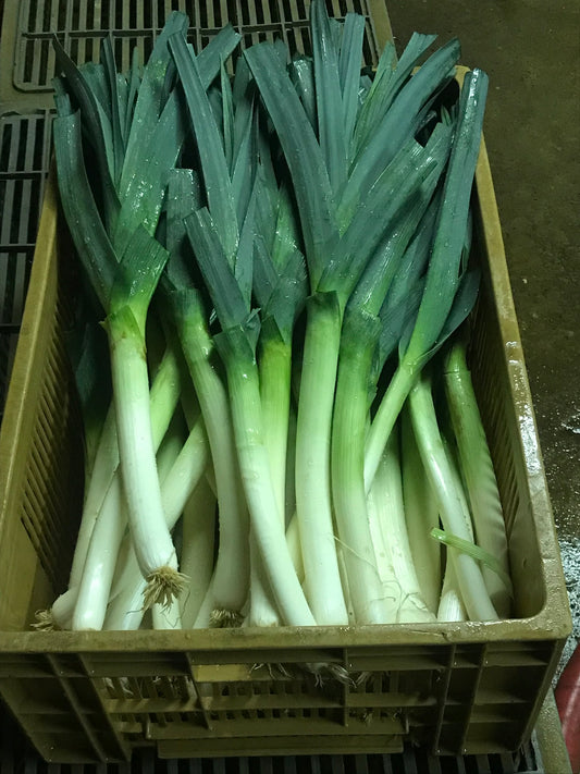Poireaux