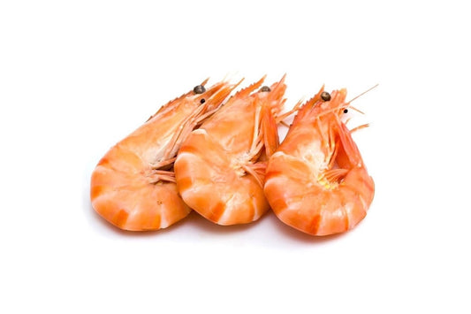 Crevettes Cuites 20/30