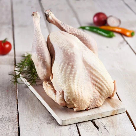 Dinde PAC Blanche (≈3 à 9kg)