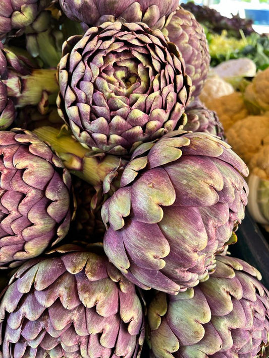 Artichaut Violet