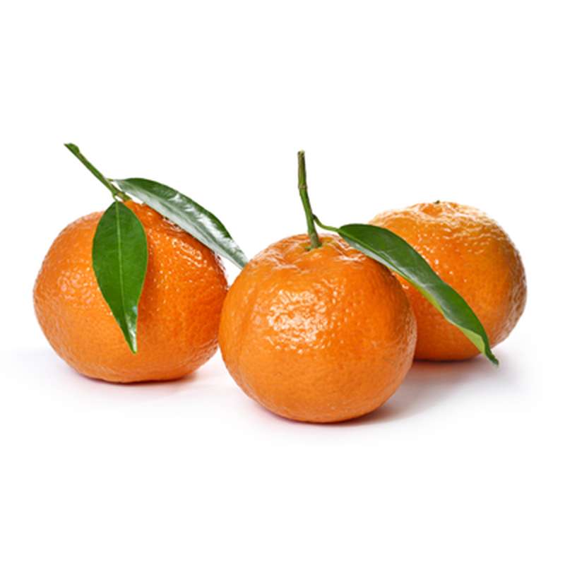 Mandarines "Mandalate" Feuilles