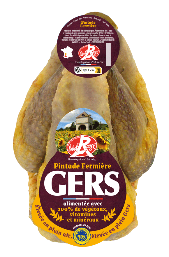 Chapon de Pintade Effilée Supérieure du Gers - Plumé à Sec (≈ 2,5 Kg) / 6 pers