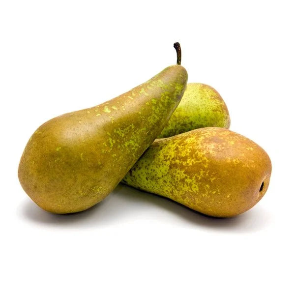 Poire Conférences