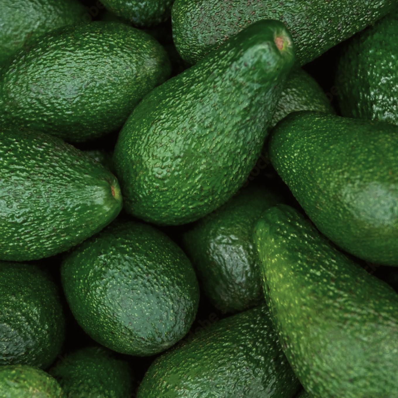 Avocat de Corse