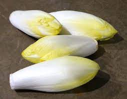 Endive