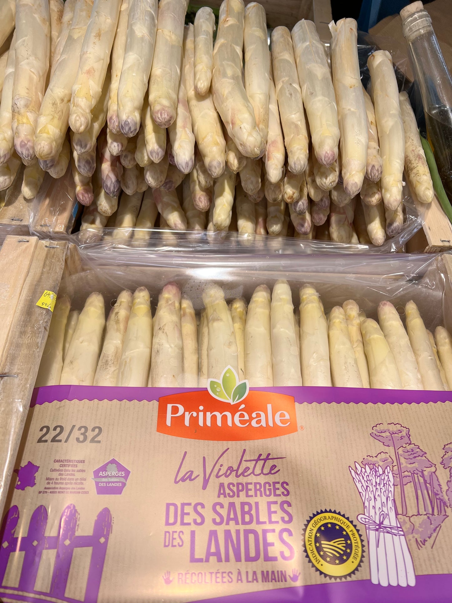 Asperge Violettes Blanches Calibre Grosse