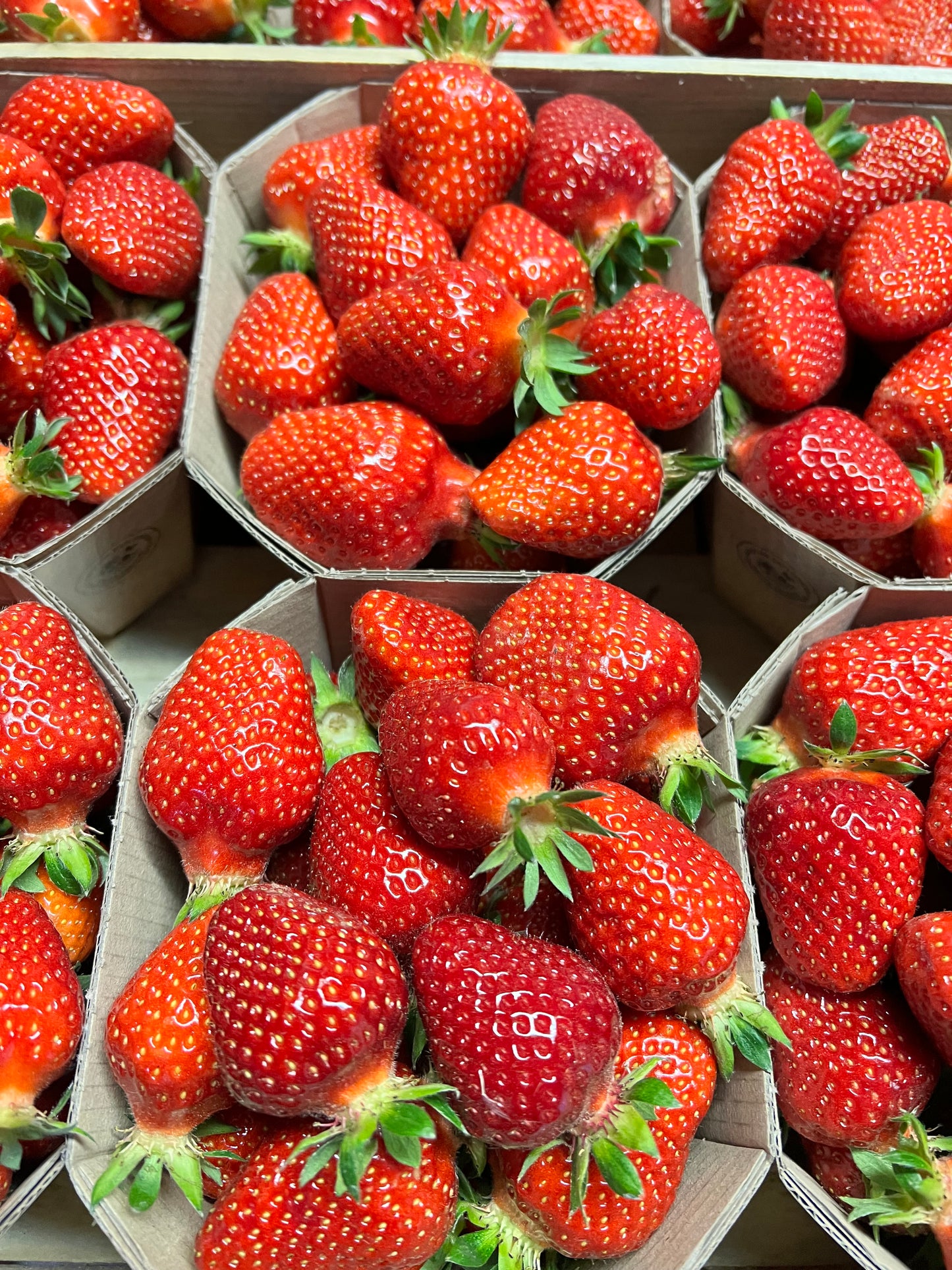 Fraise Cléry (500 g)