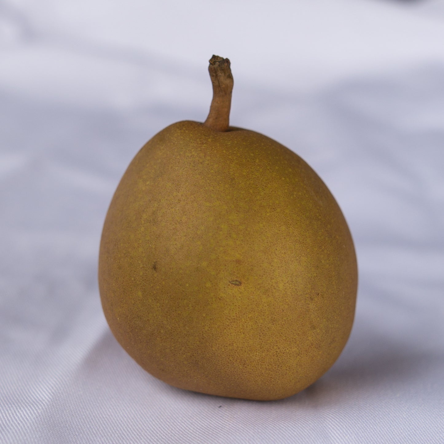 Poire Morgan Angys
