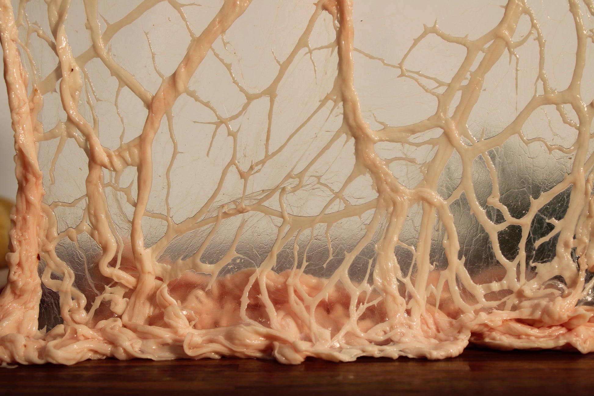 Coiffe - Charcuterie Père Anselme