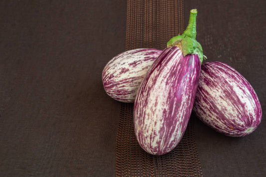 Aubergine Zèbre