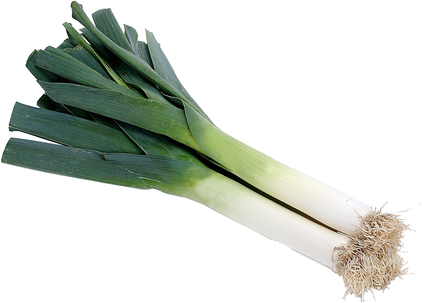 Poireaux Bleu de Solaise