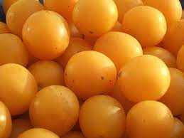 Mirabelle