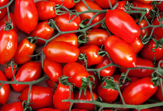 Tomates Olivettes