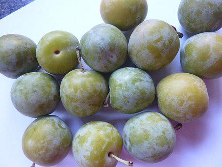 Prune Reine Claude