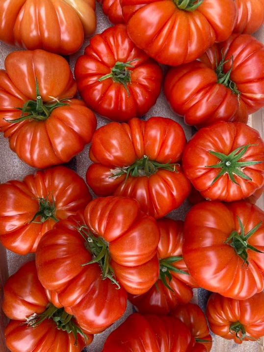 Tomates Marmande
