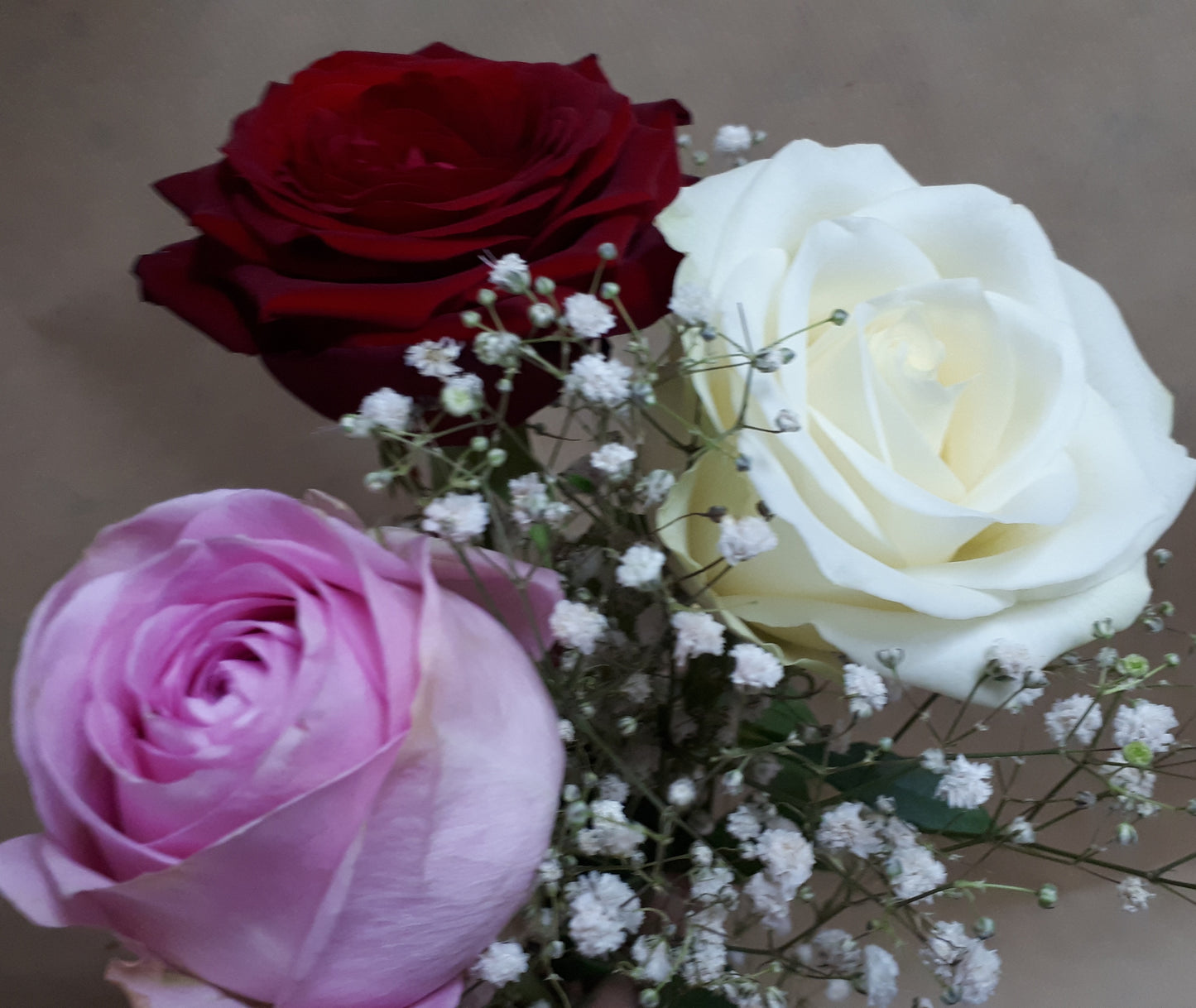Bouquet 3 Roses Colorées