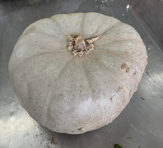 Courge Nelson Grise,(≈ 500 g)