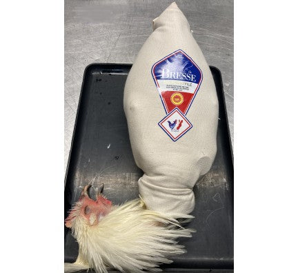 Chapon Effilée Roulé De Bresse AOP - env 3,8 kg / 12 pers