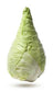 Chou Pointue Nouveau