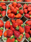 Fraise Cléry (500 g)