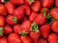 Fraise
