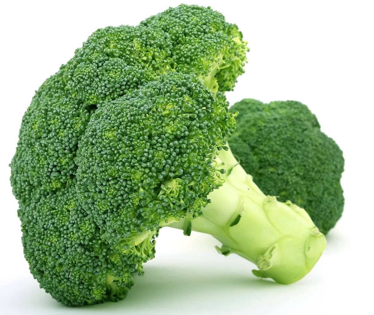 Brocoli