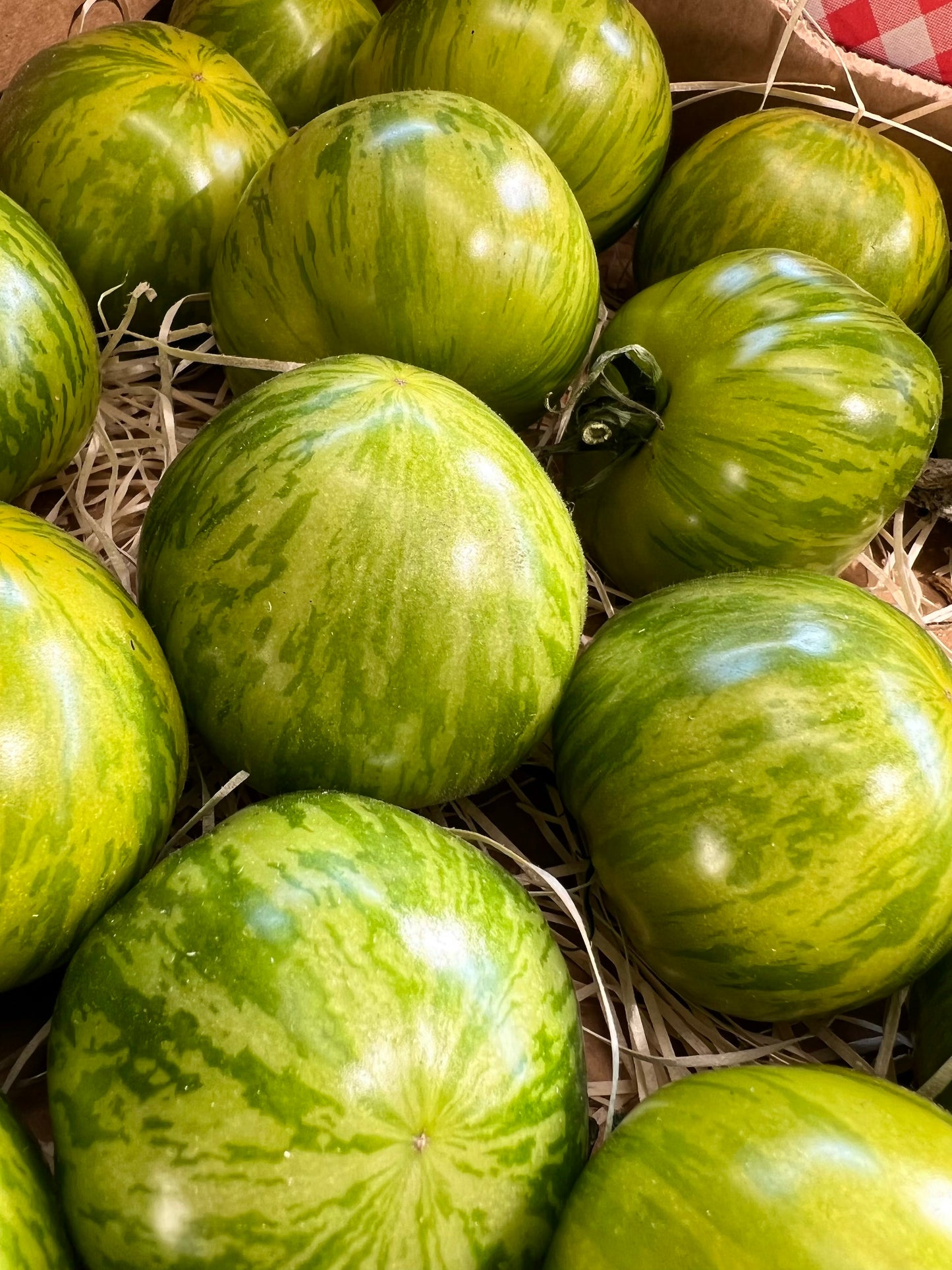 Tomate Green Zebra - Charcuterie Père Anselme