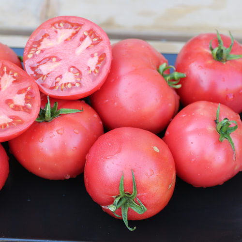 Tomate Rose de Berne