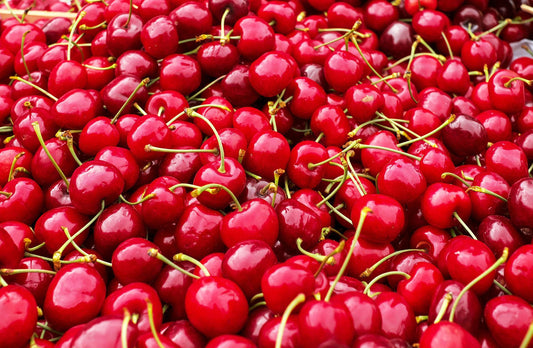 Cerises Burlat - Charcuterie Père Anselme