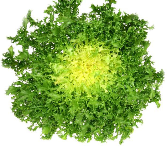 Salade Frisée (env.250g)